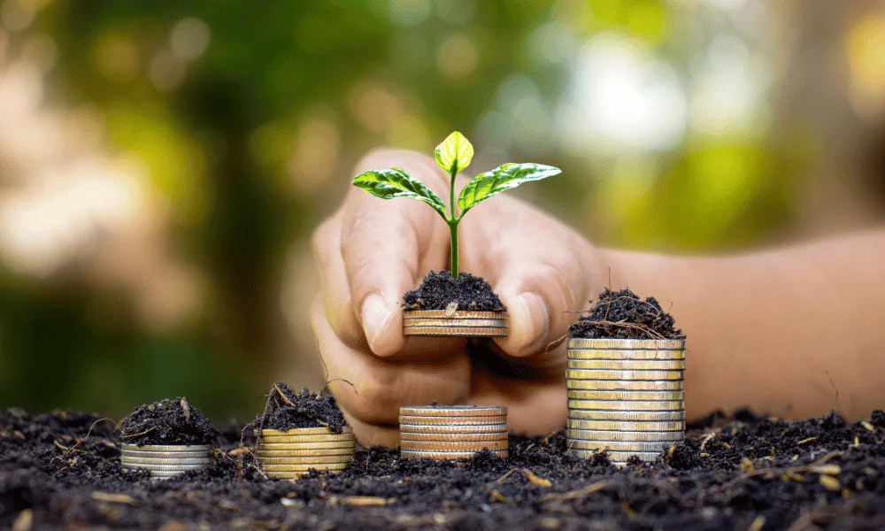 Step 6 Adopt a Mindful Money Mindset